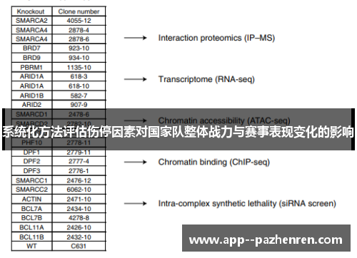 系统化方法评估伤停因素对国家队整体战力与赛事表现变化的影响